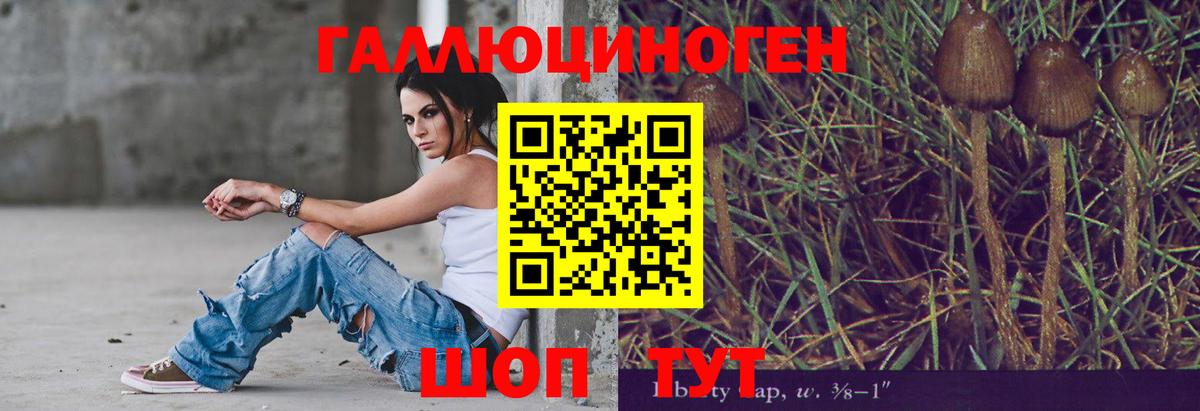 Псилоцибиновые грибы мухоморы  купить наркотики сайты  Сочи  Вход с VPN 
